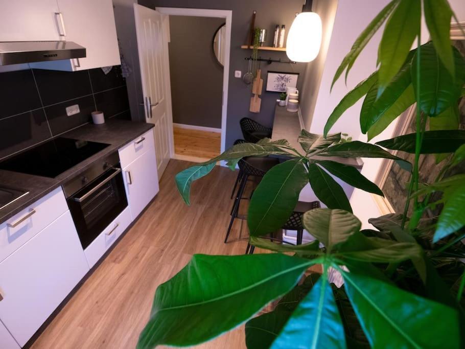 Appartement Natuerlich Mit Stil - 24-7 Und Check-In à Kiel Extérieur photo