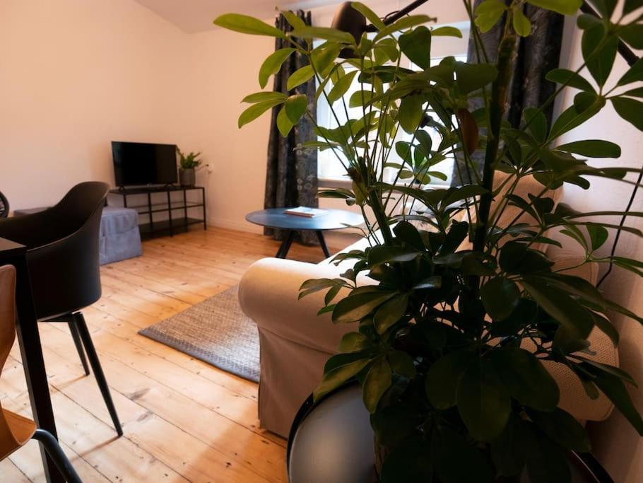 Appartement Natuerlich Mit Stil - 24-7 Und Check-In à Kiel Extérieur photo